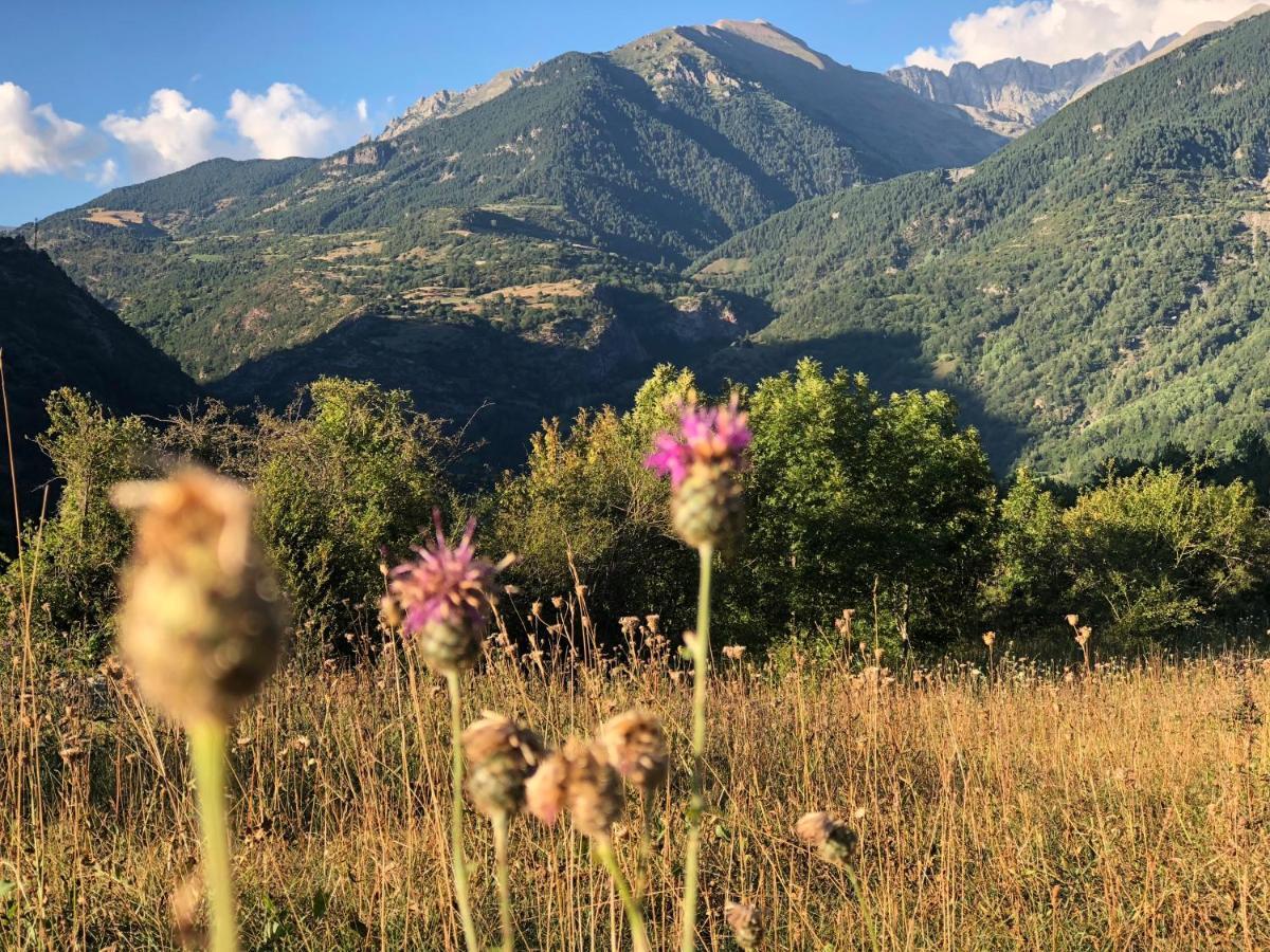 Pirineosnature Apartments San Juan De Plan Eksteriør billede